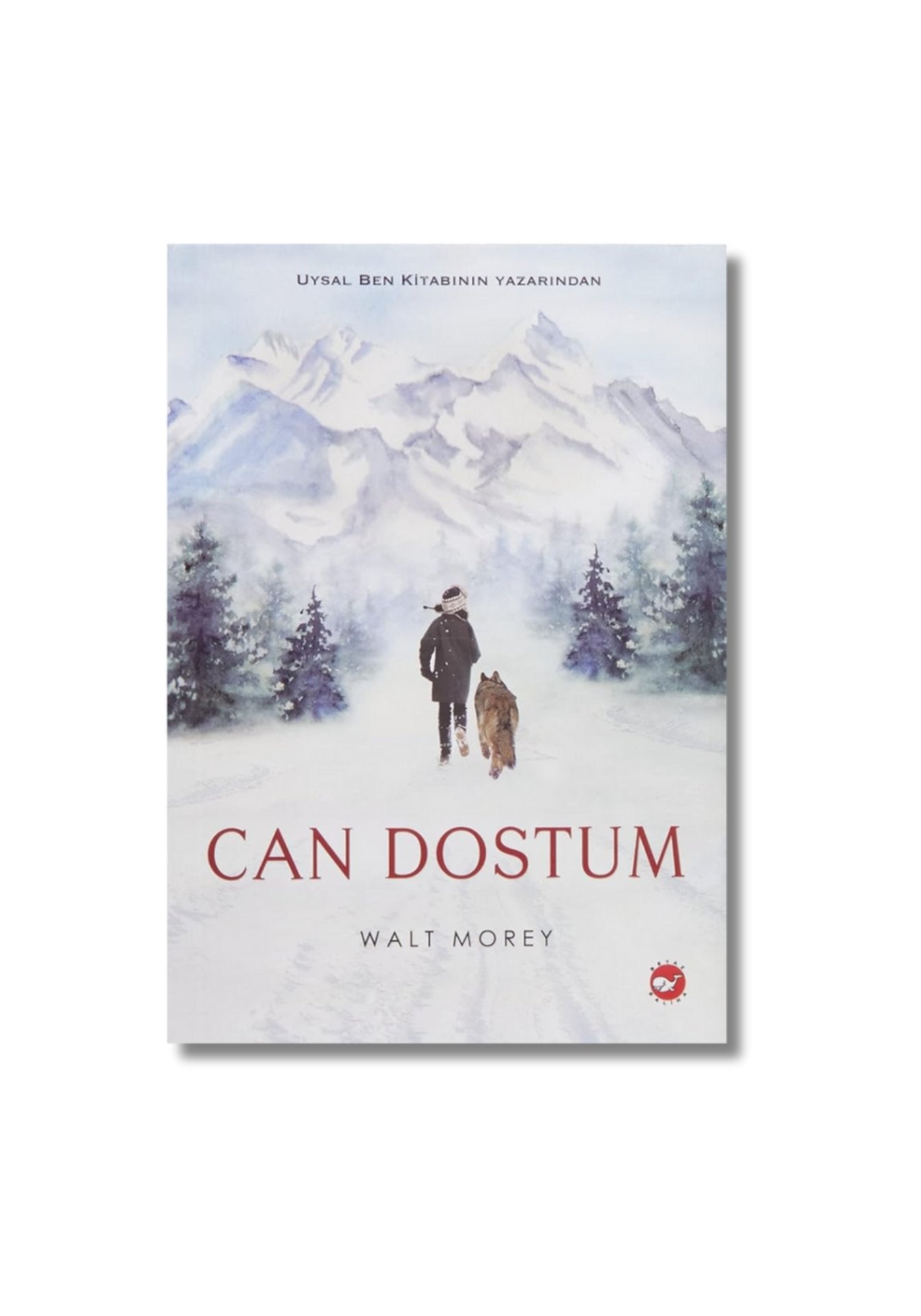 Can Dostum cover image